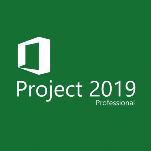 MICROSOFT PROJECT 2019 LOGO-100